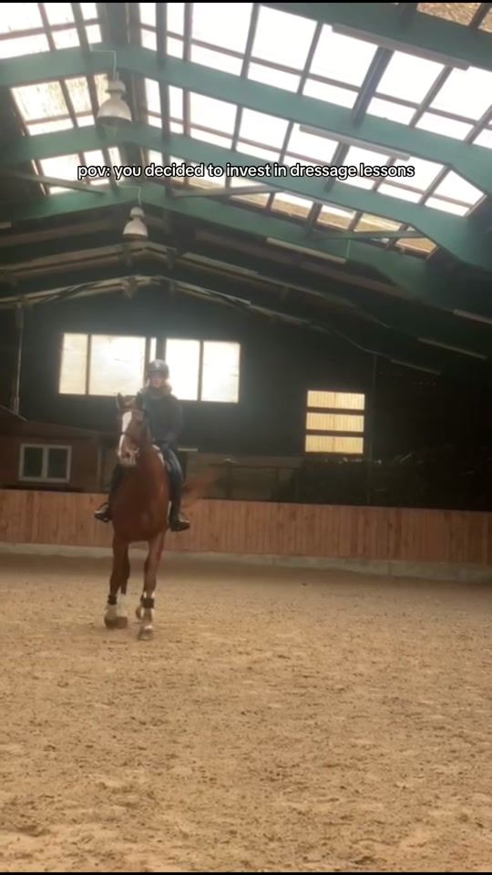 TikTok video thumbnail by esab.showjumping
