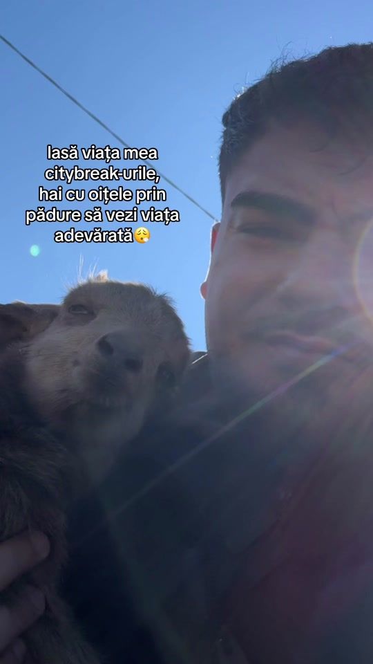 TikTok video thumbnail by stefan.nita