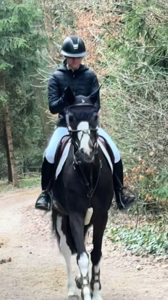 TikTok video thumbnail by showjumping_jw