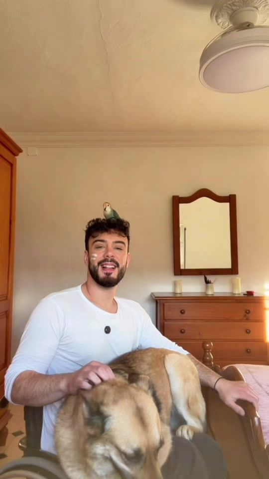 TikTok video thumbnail by luippi