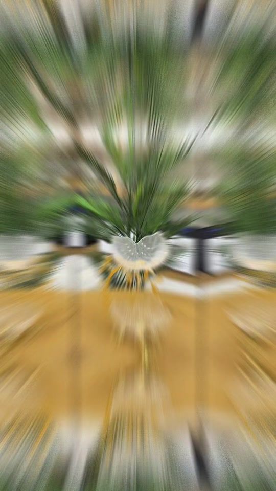 TikTok video thumbnail by fasonlar16