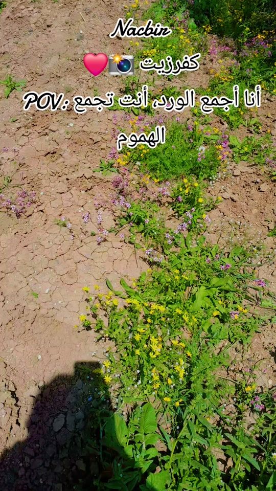 TikTok video thumbnail by .afreen23