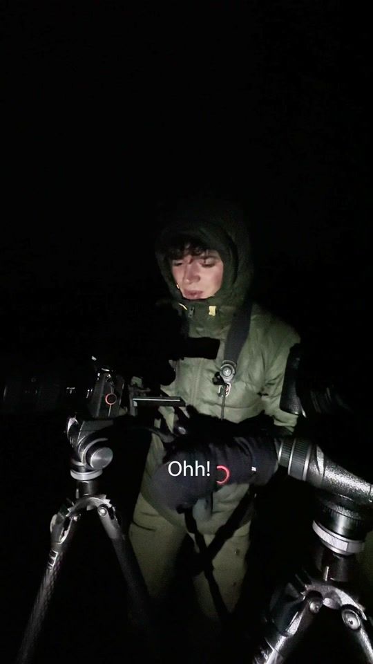 TikTok video thumbnail by levi.fitze