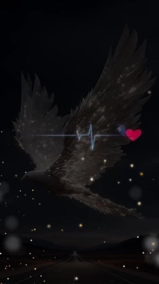 TikTok video thumbnail by kobra75012
