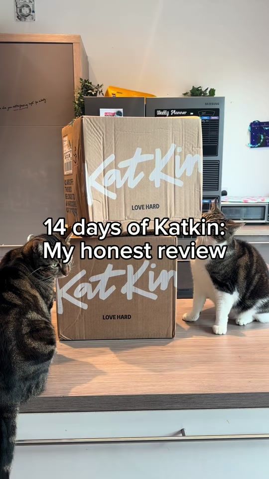 TikTok video thumbnail by the.lucky.thirteen