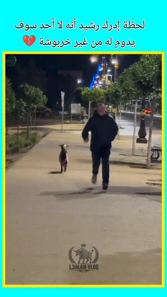 TikTok video thumbnail by l3alam.vlog