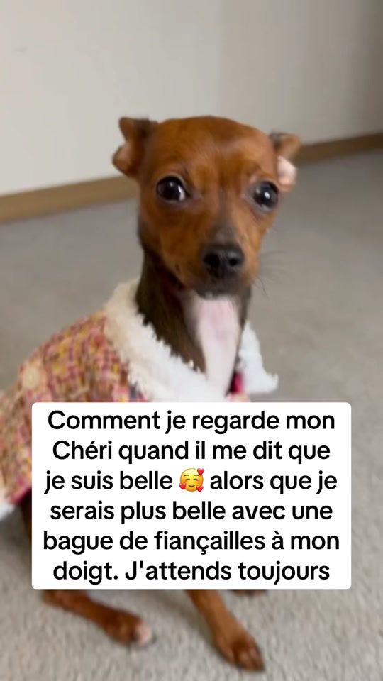 TikTok video thumbnail by splitzzz__
