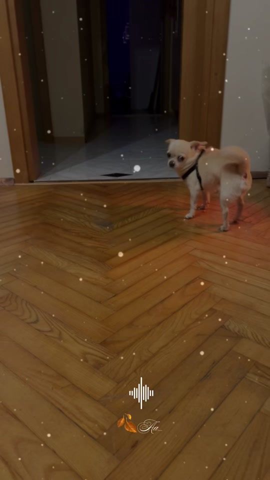 TikTok video thumbnail by raya.georgieva0