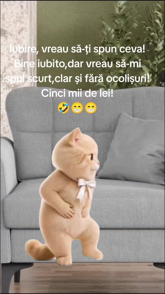 TikTok video thumbnail by carmentomaciucbuhinschi