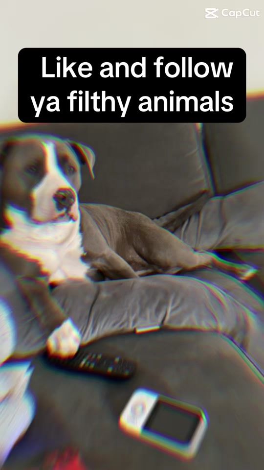 TikTok video thumbnail by tipsybandit69