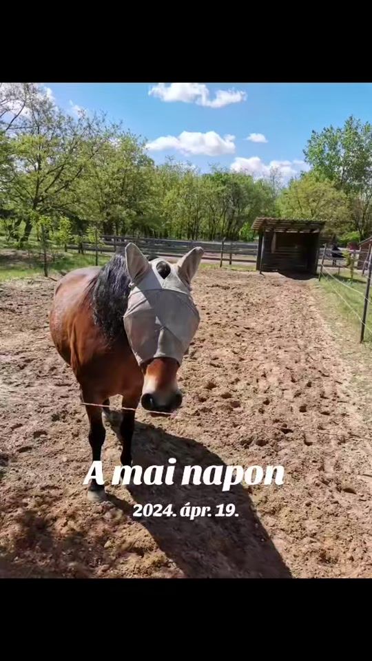 TikTok video thumbnail by sanyika209