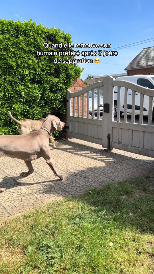 TikTok video thumbnail by nnp.fr
