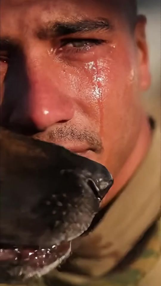 TikTok video thumbnail by superliike