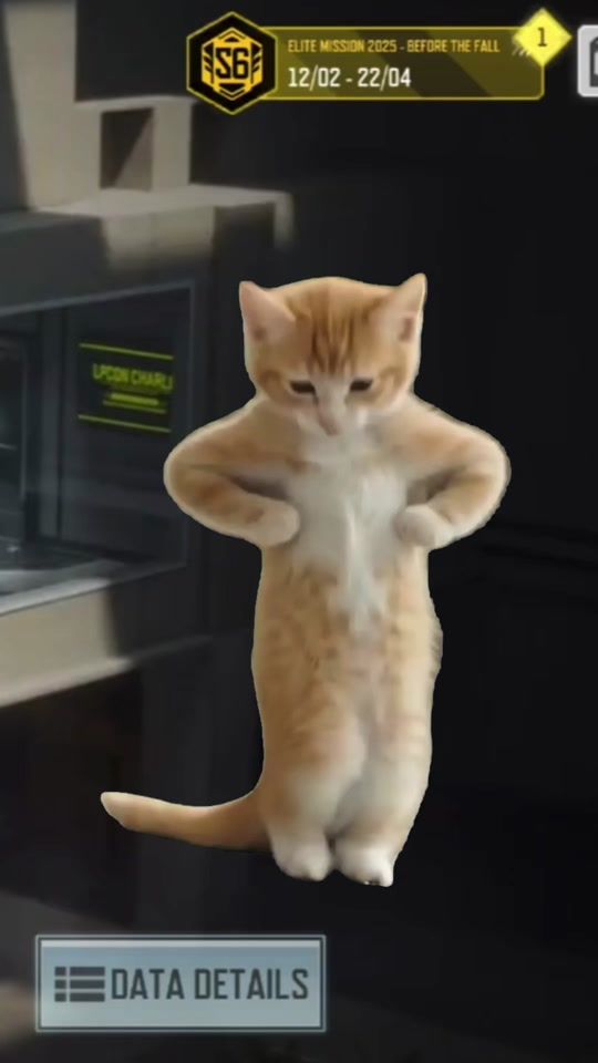 TikTok video thumbnail by blackstar06smith