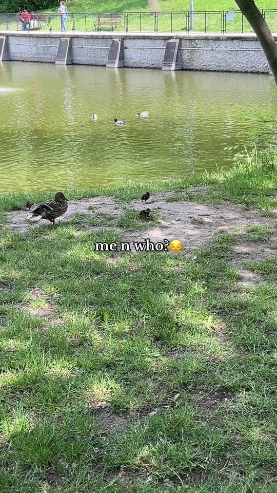 TikTok video thumbnail by flouvqixs