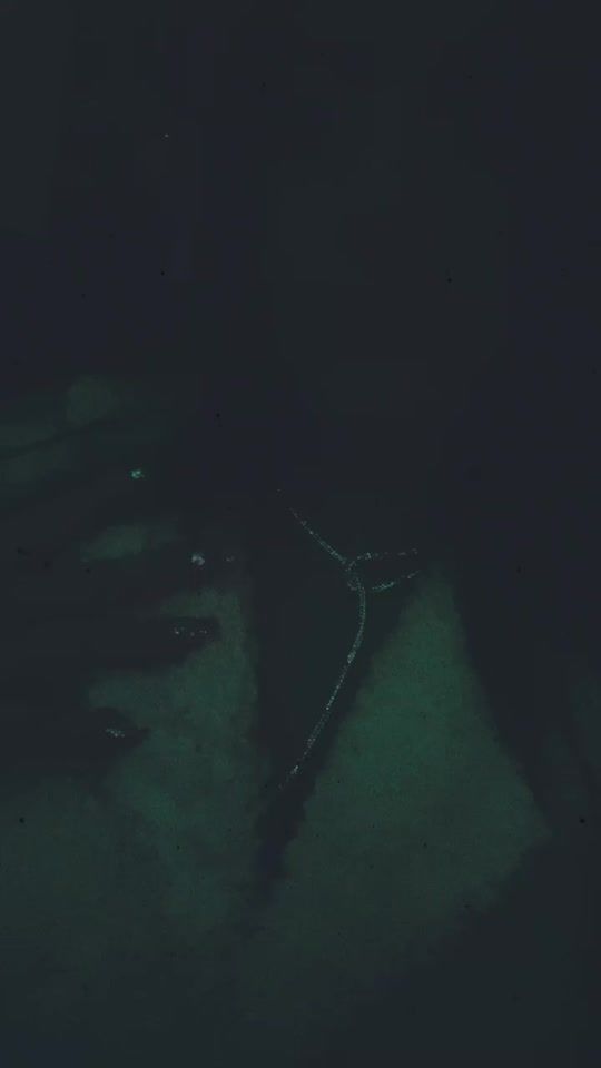 TikTok video thumbnail by evgeniakourtimelina