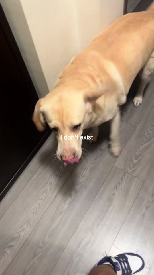 TikTok video thumbnail by mariaaa1940