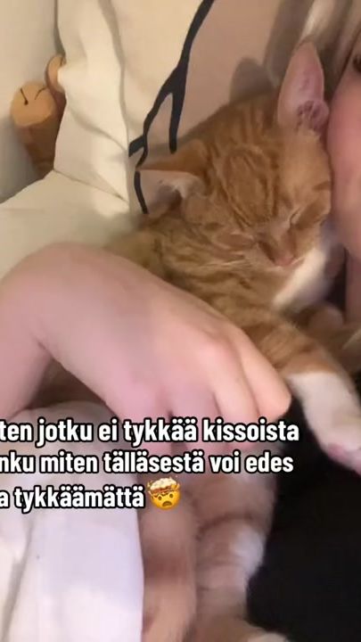 TikTok video thumbnail by moioonannika