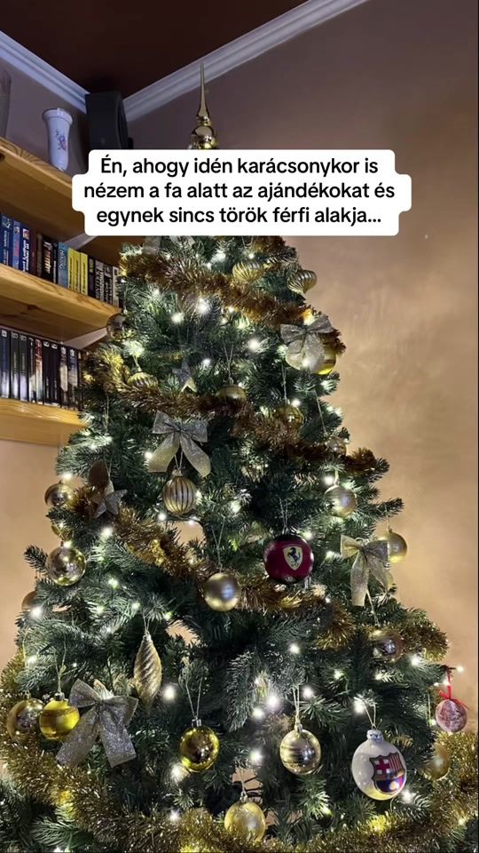 TikTok video thumbnail by torokvilag