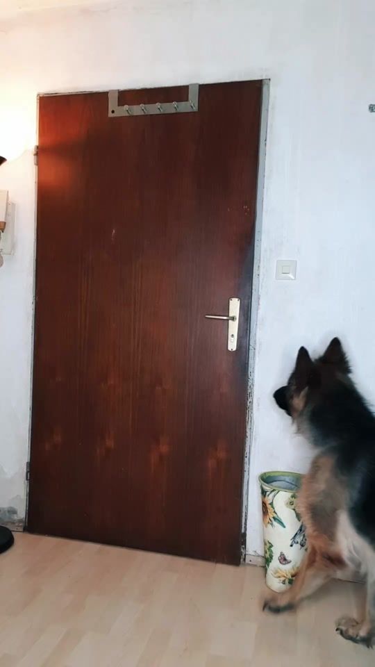TikTok video thumbnail by markusmartinofficial