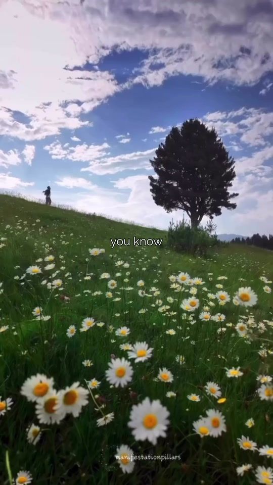 TikTok video thumbnail by manifestation_pil