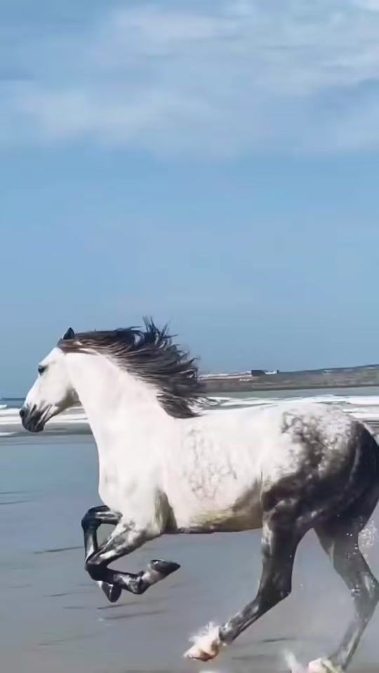 TikTok video thumbnail by s_______.________y