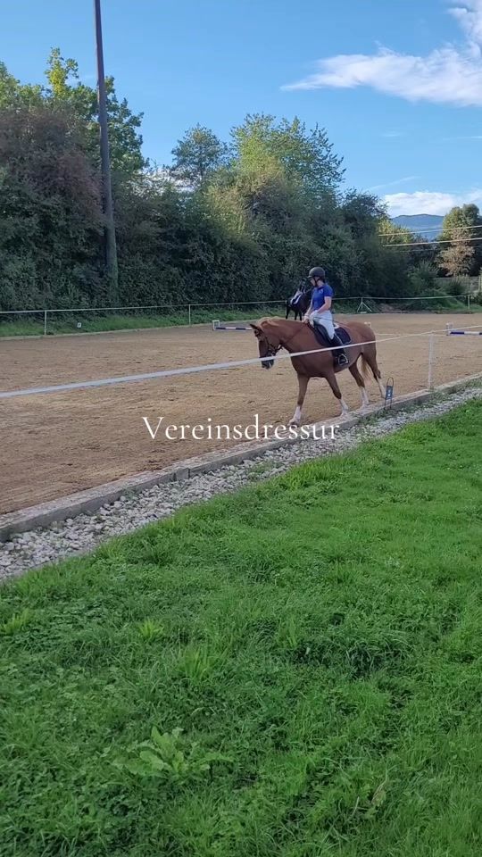TikTok video thumbnail by reitvereinwasseramt
