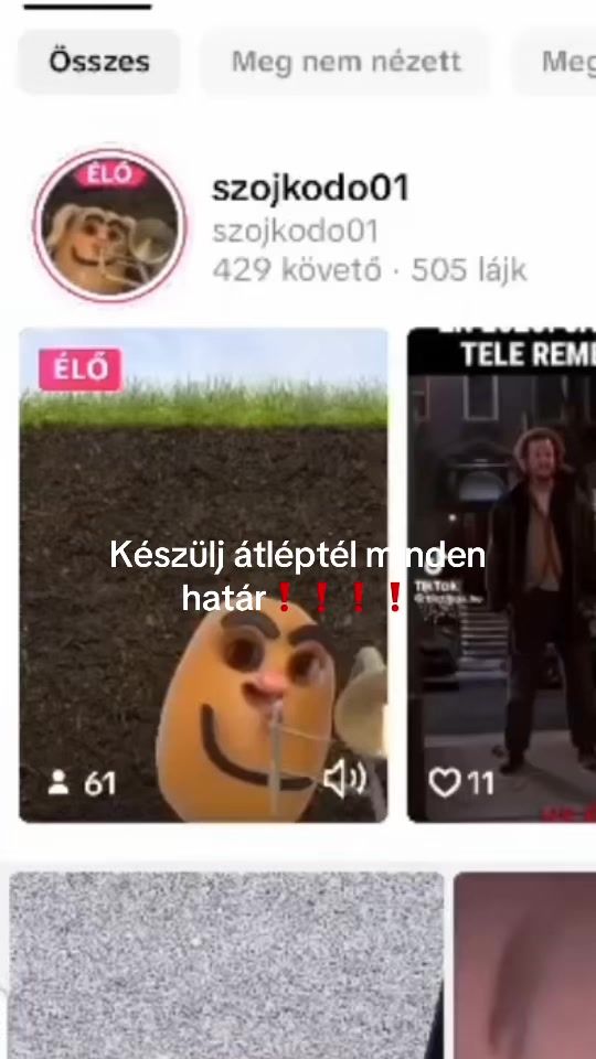 TikTok video thumbnail by vani_fagyi1