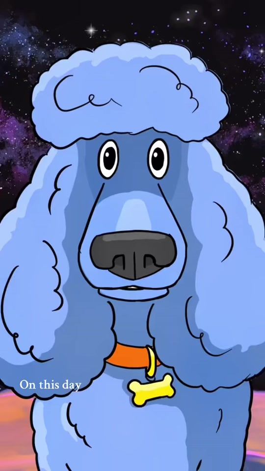 TikTok video thumbnail by dalithepoodle
