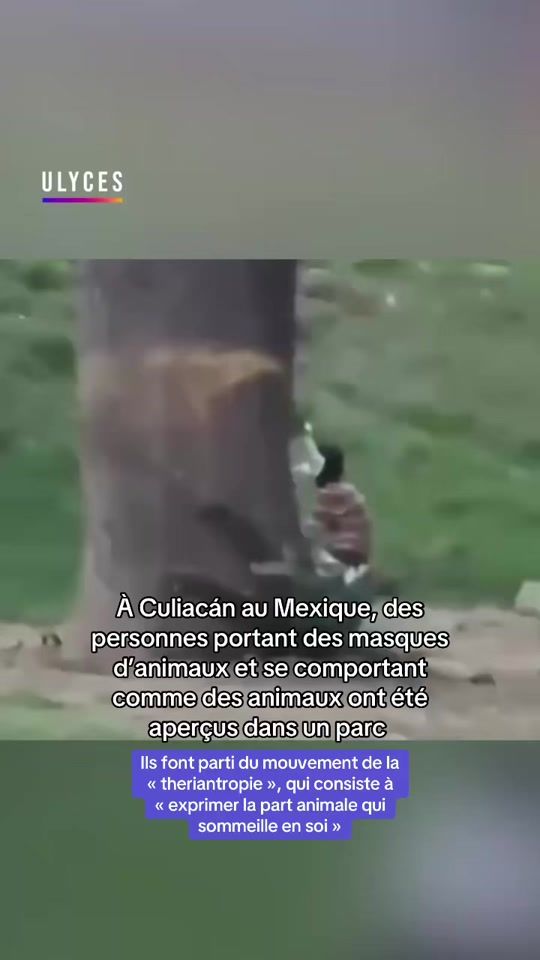 TikTok video thumbnail by ulyces.co