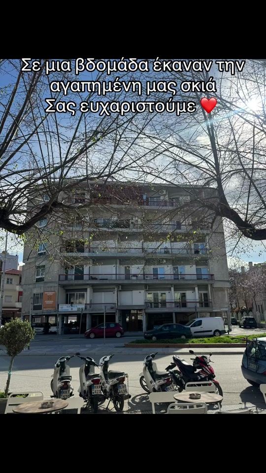 TikTok video thumbnail by como_urban_cafe