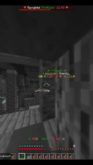 TikTok video thumbnail by craftmc79