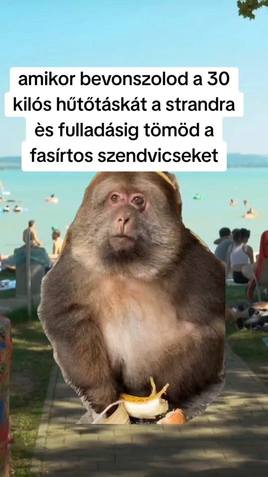 TikTok video thumbnail by rokatelli0