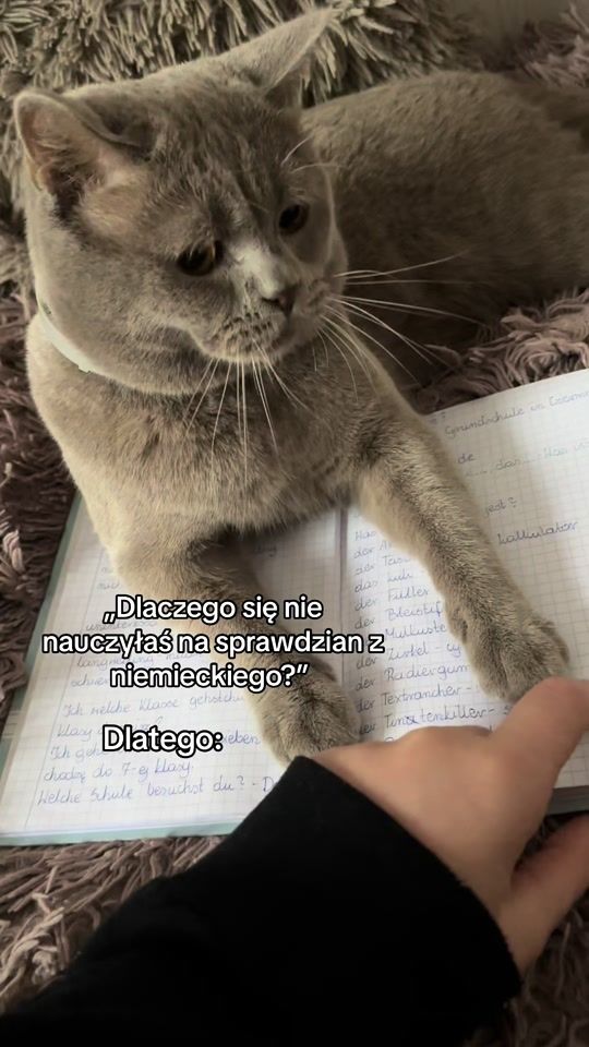 TikTok video thumbnail by lizinczykowa_