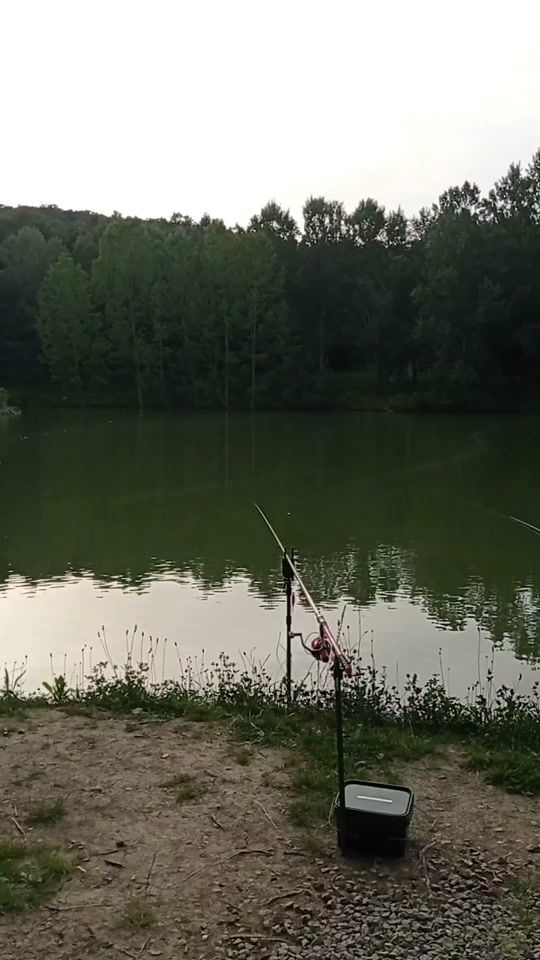 TikTok video thumbnail by ricarp_fishing