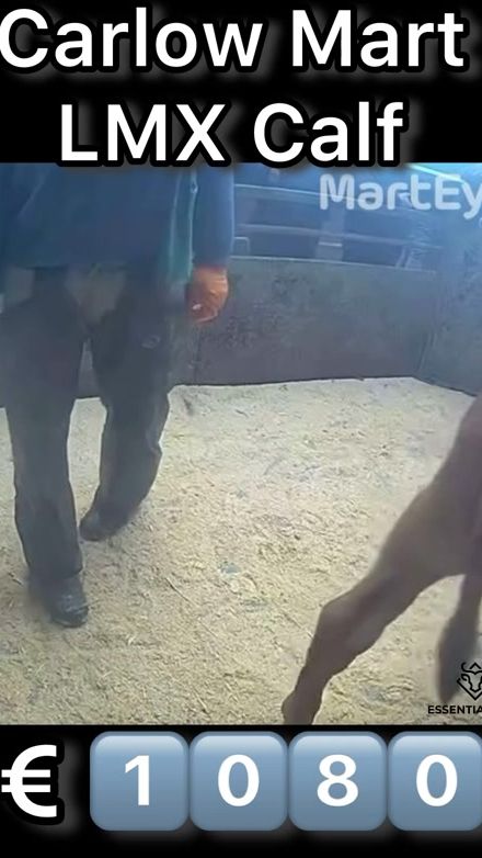 TikTok video thumbnail by essential.agri