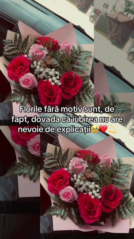 TikTok video thumbnail by __rebeca.ioana__