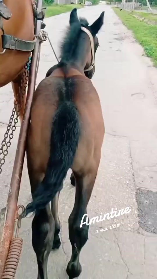 TikTok video thumbnail by marya.lavinia27