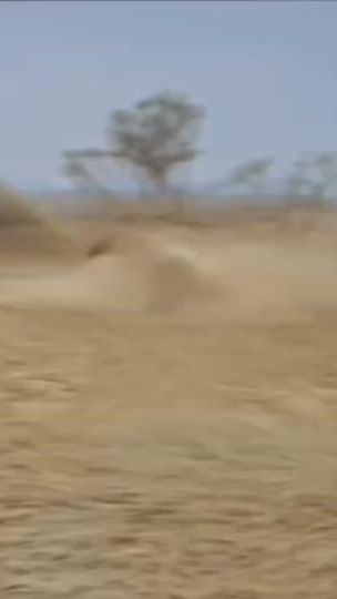 TikTok video thumbnail by zdekski