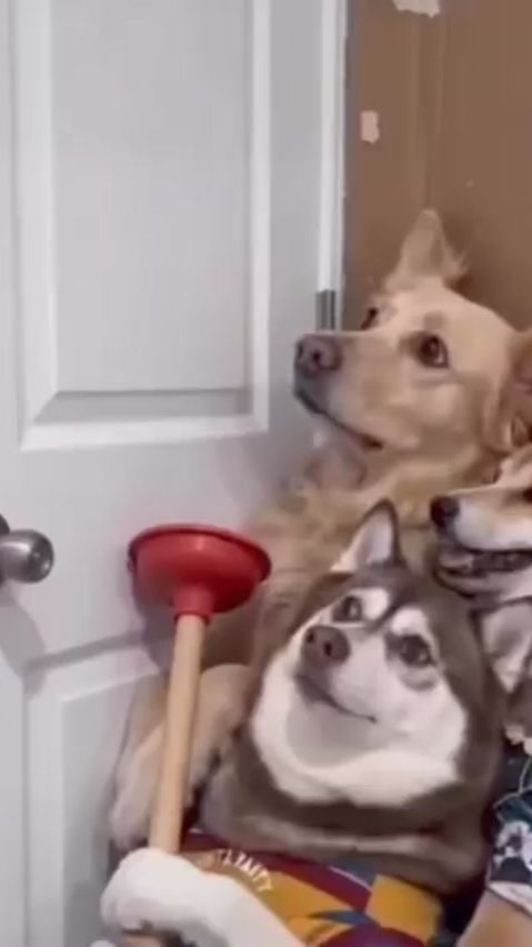 TikTok video thumbnail by maikaribera