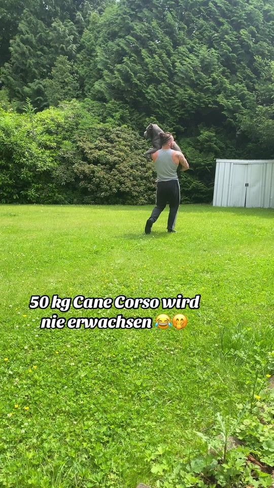 TikTok video thumbnail by rabearabnadi