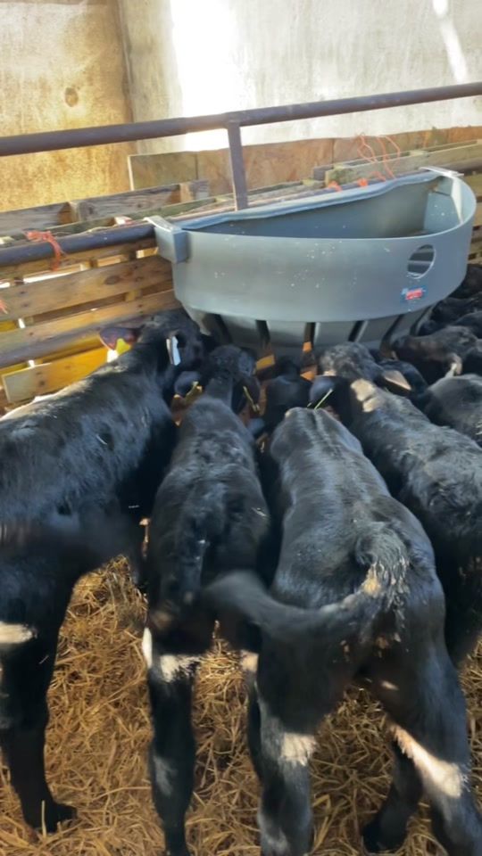 TikTok video thumbnail by jamieleavy0