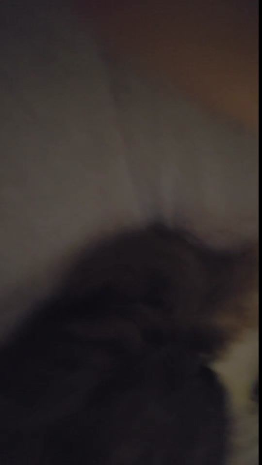 TikTok video thumbnail by radusirbu8