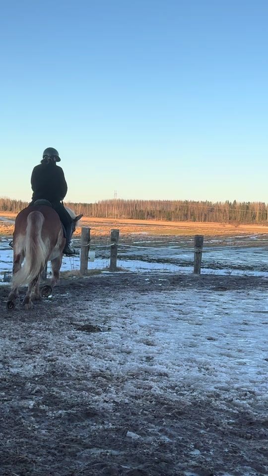 TikTok video thumbnail by jakke.equestrian