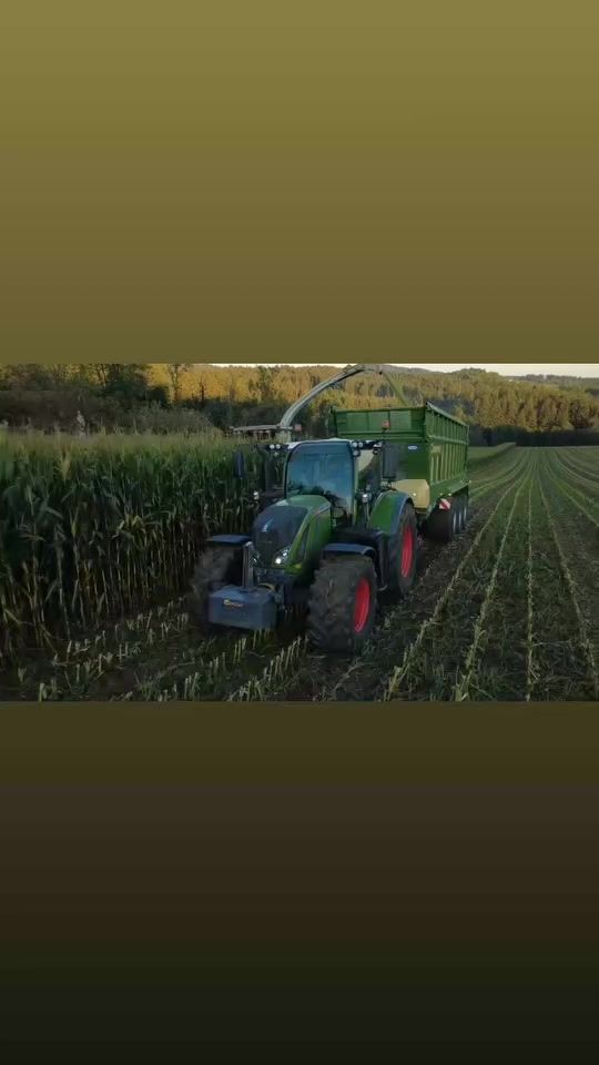 TikTok video thumbnail by langer_agra