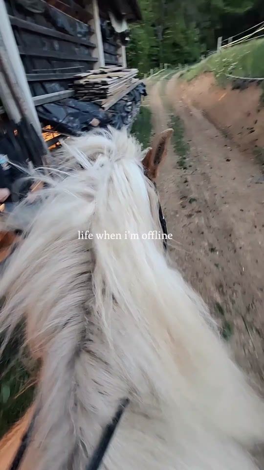 TikTok video thumbnail by stepe0025