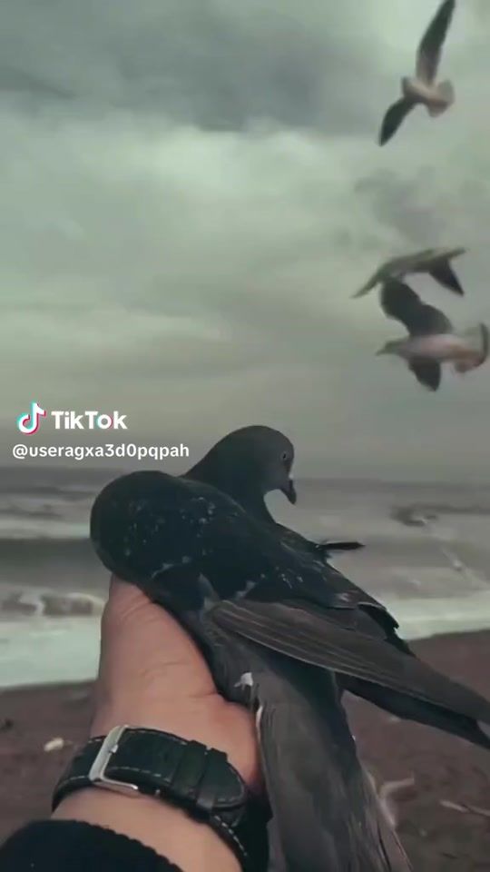 TikTok video thumbnail by i_quit_goodbye5