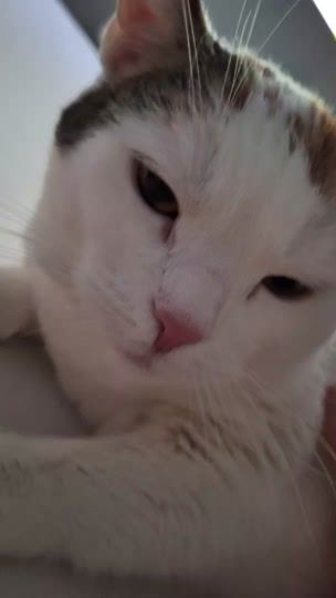 TikTok video thumbnail by alexkern73