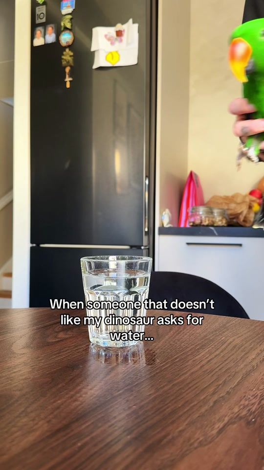 TikTok video thumbnail by flokieclectus