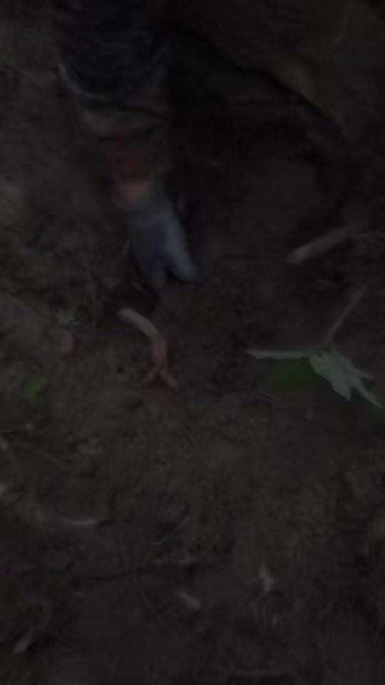TikTok video thumbnail by al_history_team
